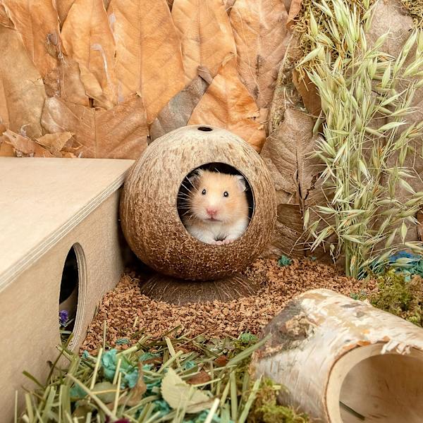 Coco Hut Hamster House Bed for Gerbils Mice Small Animal Cage Hab