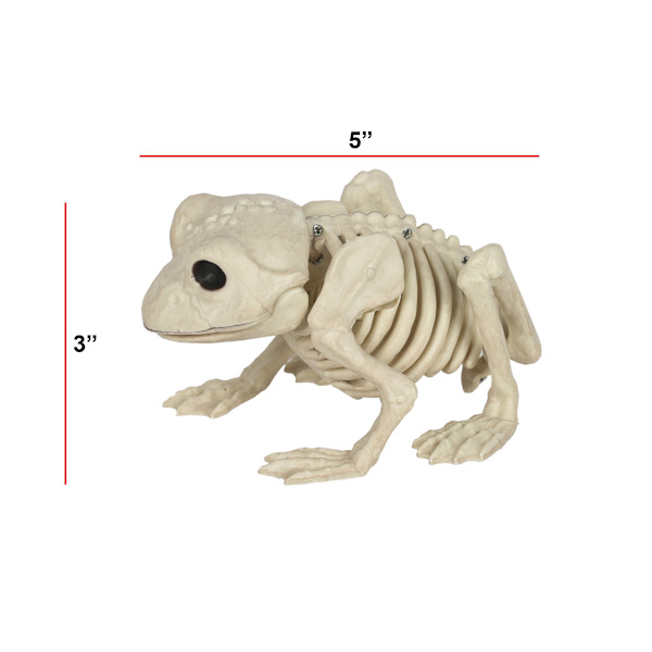 Froskeskjelett Halloween-dekorasjon