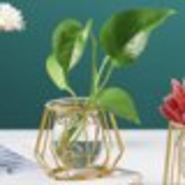 Hemväxt Blomvas Metalltråd Glas Växtkruka 3D Geometrisk Bord Dekoration Guld