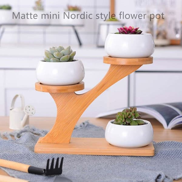 Keramiska trädgårdsblomkrukor med bambu stativ 3 st Keramik Succul