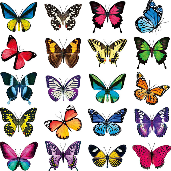 Ca 20 st Butterfly Window Stickers, Butterfly Wall Stickers f