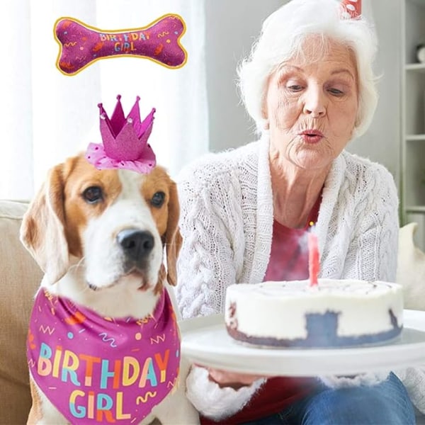 Hundfödelsedagsbandana Stor hundfödelsedagsmössa Grattis på födelsedagen Hundbenleksak Hundfestset Husdjur Grattis på födelsedagen Fest    (Rosa)