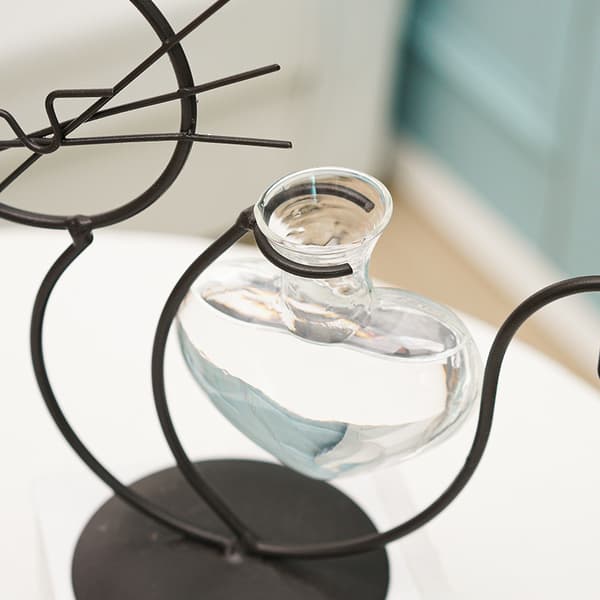 Glaskat med hjerteformet vase, planteterrarium,