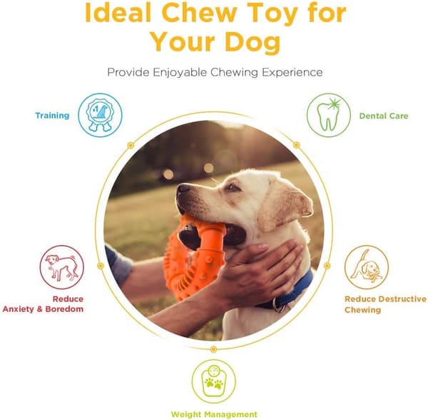 Hunde tyggeleker for aggressive tyggere, de beste gummipuppetenner