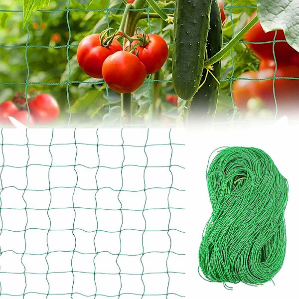 Växtnät - 1,8m x 1,8m - Klätterväxtstöd Nät - För Klättrande Växter, Trädgård Växthus Grönt
