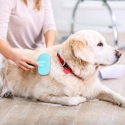 Børste for hund og katt - Blå