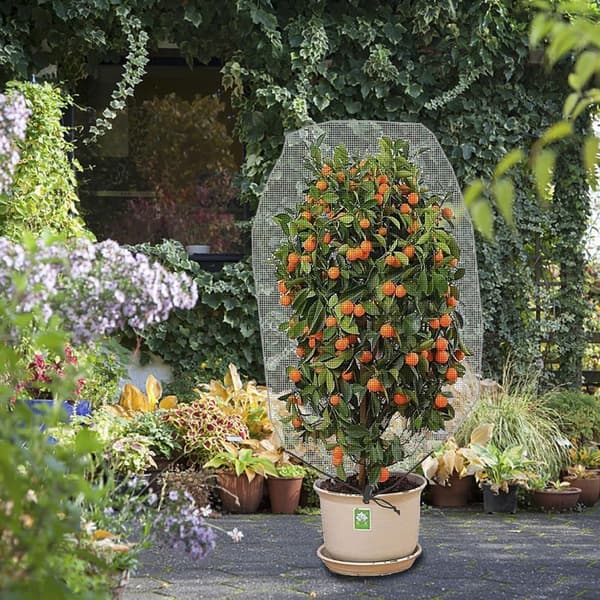 2 stk. 3,2 x 4,9 ft Have Netting Plante Cover - Til Beskyttelse