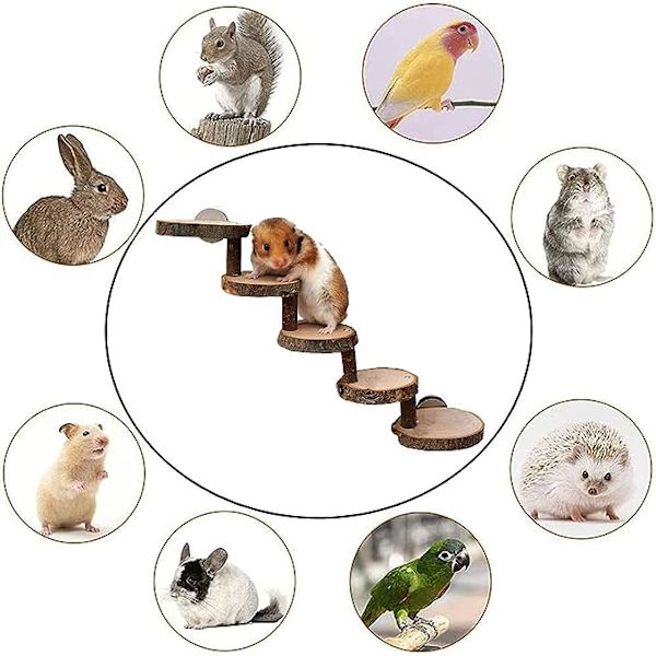 Hamsterklätterleksak, Hamsterstege, Trästege Tuggleksaker Bri