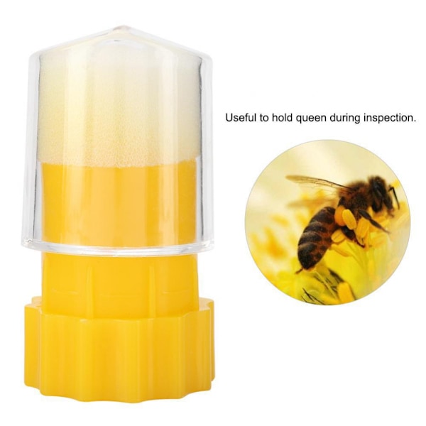 Queen Bee Marker Catcher Bur