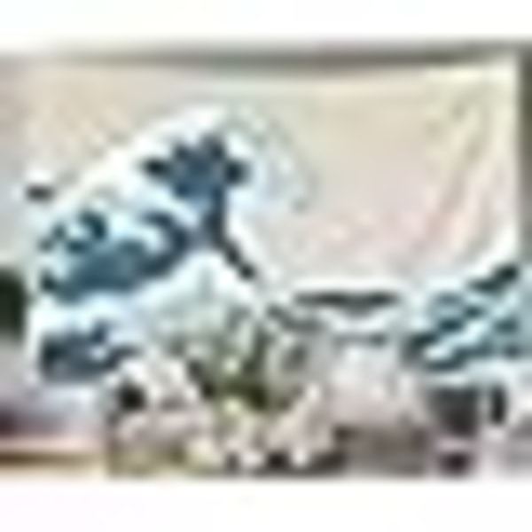Estetisk rumsdekor, Ocean Tapestry, Ocean Wave Tapestry, Mount Fuji Century Hanging Wall Tapestries för vardagsrumsdekor 60X50 tum（150X130Cm）Inhouse, Blå Vit