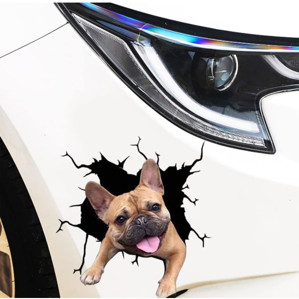 1 stk 3D Dogs Stickers, Funny Crack Dogs Vinyl Car Sticker, Car Wi