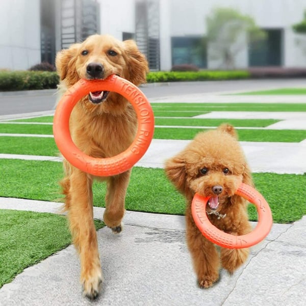 Frisbee-lelu koirille kelluva koiran kiekko tuhoutumaton kumifrisbee 2 kappaletta