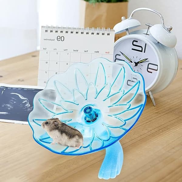 Hamster Flygande Tallrik, Hamster Tyst Halksäker Löpdisk, Träning
