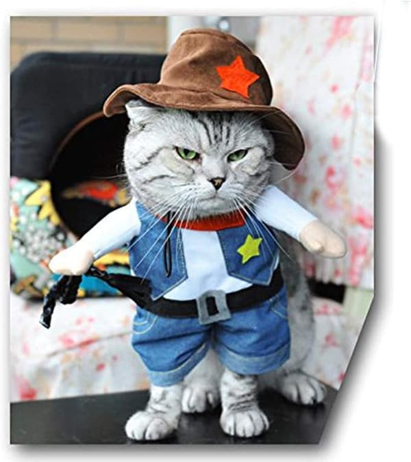Cowboyhundekostyme med hatt