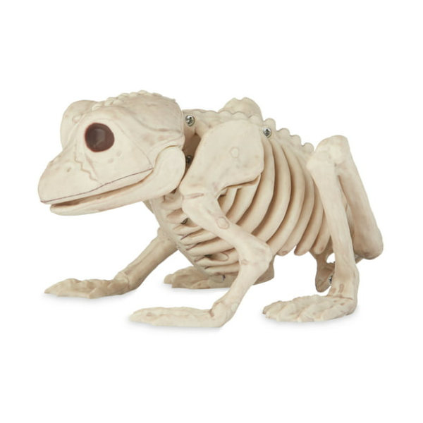 Froskeskjelett Halloween-dekorasjon
