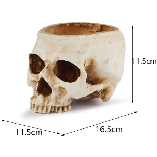 Kallo-kukkavaasi, kallovaasi, hartsi-päämalli Halloween-juhliin ja kodin sisustukseen