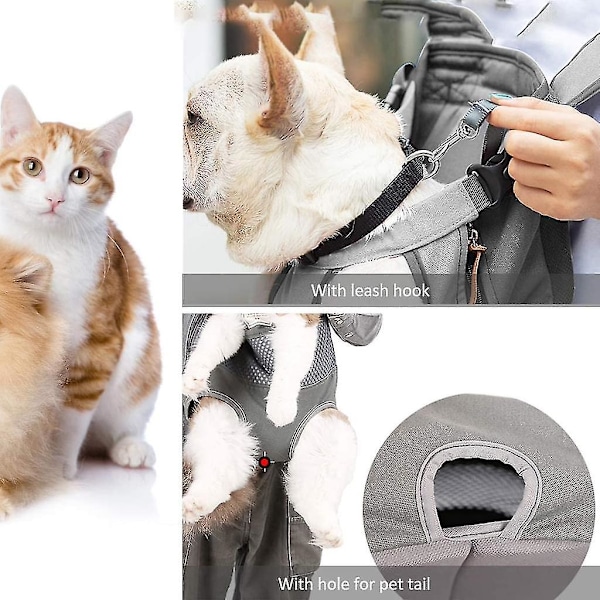 Kattbur Hund Ryggsäck Expanderbar - för att bära husdjur upp till 10 kg