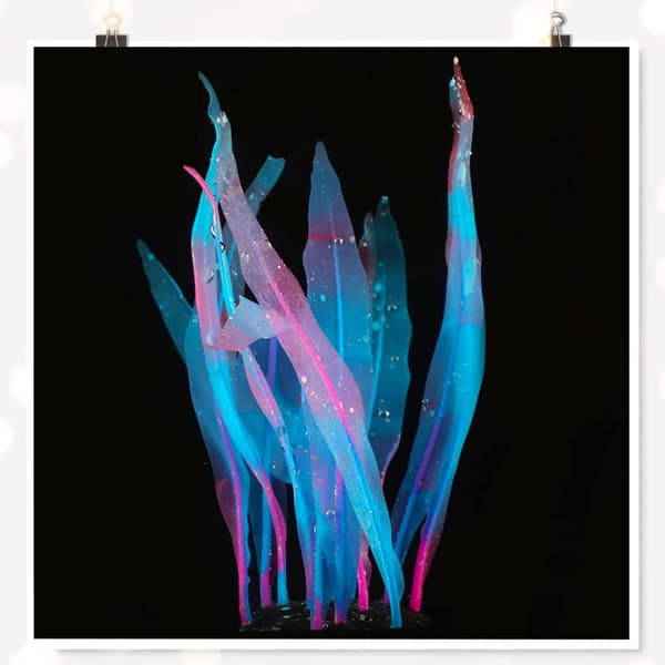 Luminous Vattenväxter Akvarium Korall - Silikon Dekoration Kelp