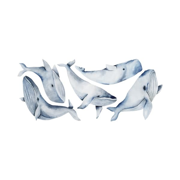 En uppsättning Whale Wall Stickers Väggdekaler Väggdekor för sovrum