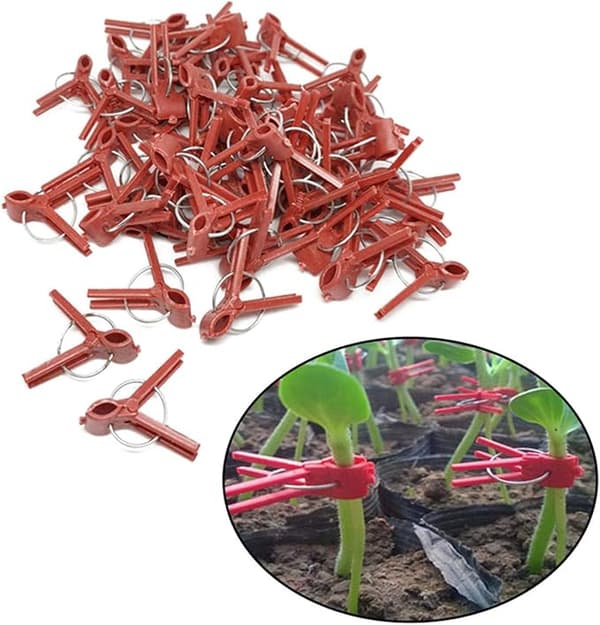 100 stk Mini Plast Podeklips Tomat Podeklips for Grønnsaker