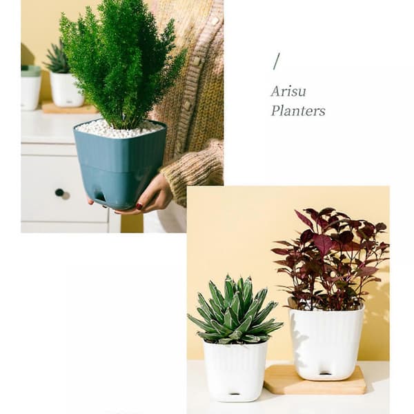 Hartsblomkruka i plast som imiterar keramik
