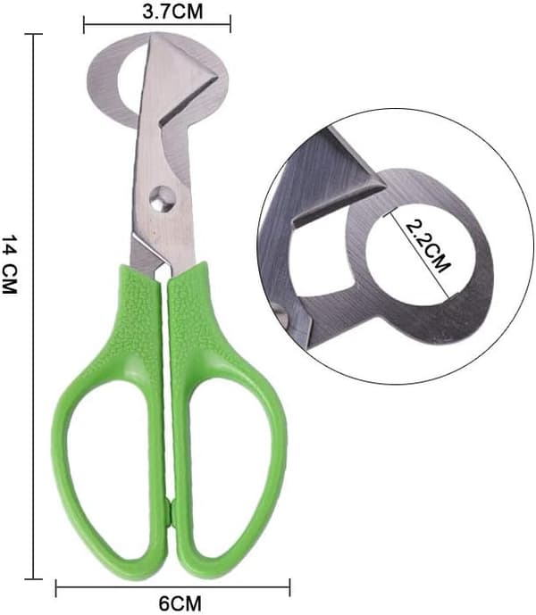 Set med 6 rostfria gröna vakteläggsskalsskärare separator