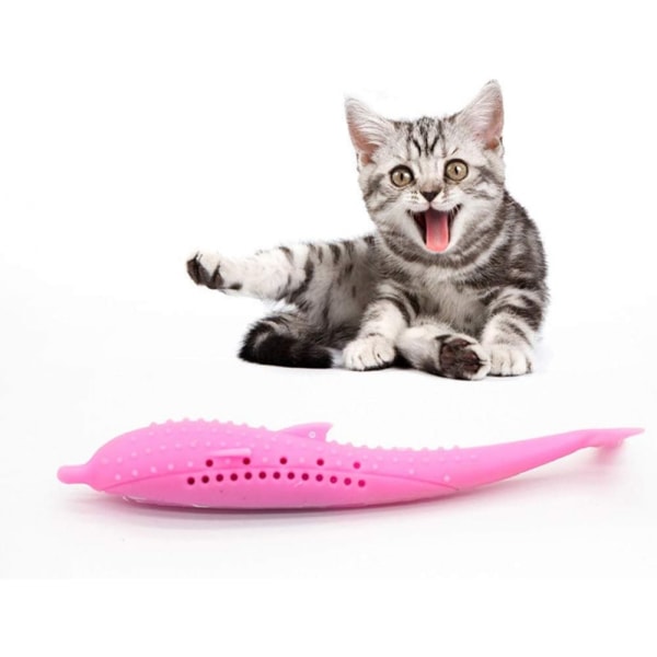 Kissanhammasharja, joka on täytetty kissanminttulla, pehmeä silikonipurupuikko