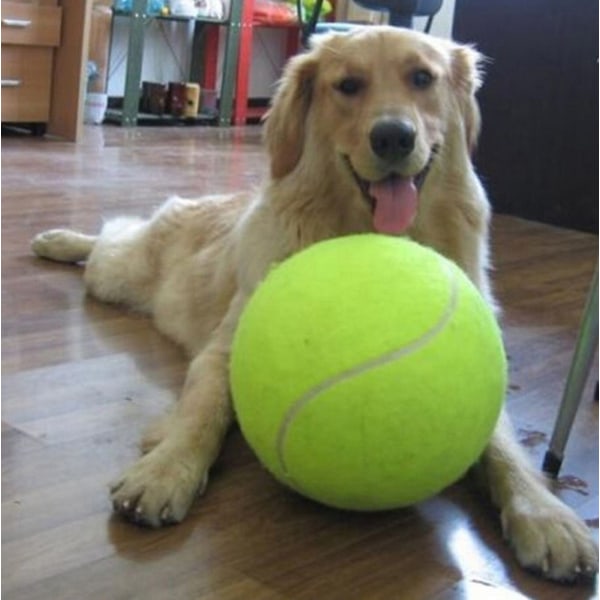 1 st Pet Ball för hund katt husdjur kreativ stor tennisleksak