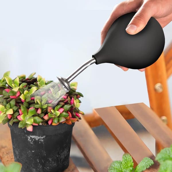 Brusehoved i rustfrit stål - til små planter, blomsterstiklinger, frøplanter