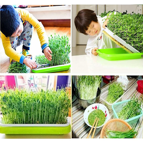 Fröodlingsbricka Groddbricka Grön Groddbricka Växthus Startbricka Groddbricka för Hydroponics, Groddning, Hemträdgård, 1