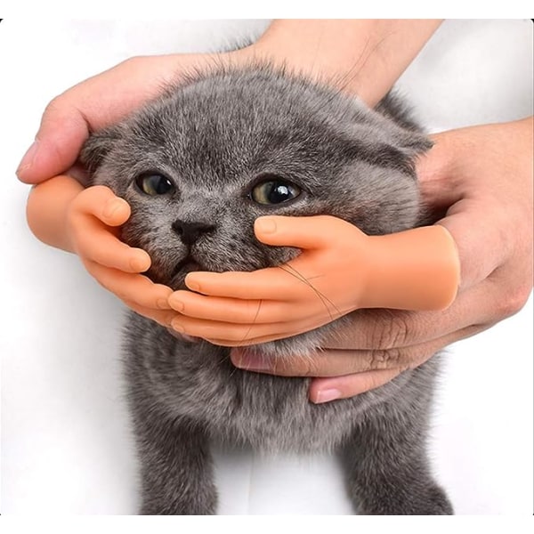Cat Cute Mini Hands Touch Cheek Borstar Finger Leksaker