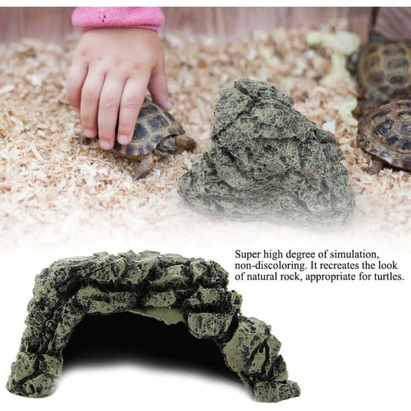 Firfisle Lizard Shelter Turtle Amphibian Fish Turtle Basting Platform Rept