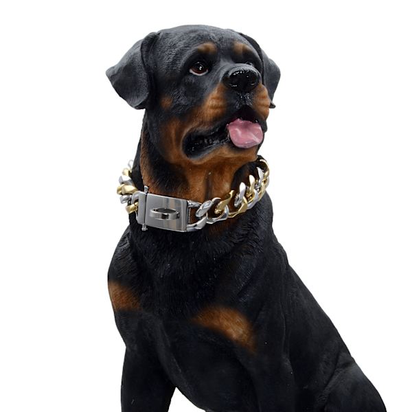 Stærk kæde hundehalsbånd snor 19mm guld rustfrit stål halskæde