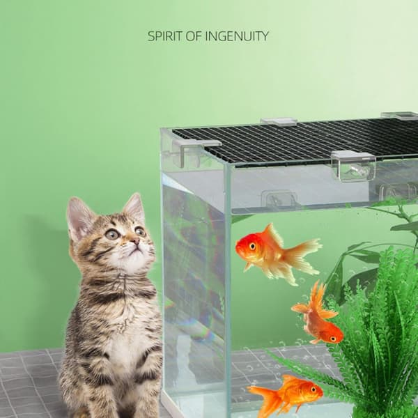 Transparent Akvarielock | Akvarielockfästen | Kreativa Akvarielockfästen | Transparenta Akryl Akvarielock