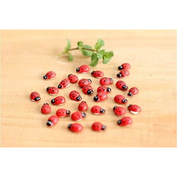 100 Miniatyr Resin Ladybug Septempunctata Ornamenter for Håndverk,