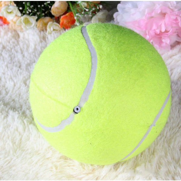 1 st Pet Ball för hund katt husdjur kreativ stor tennisleksak