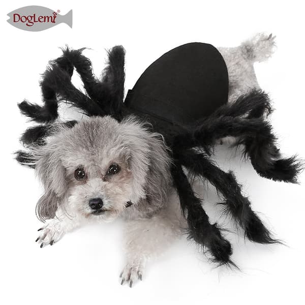 Hundkostym för Halloween Spindeltröja