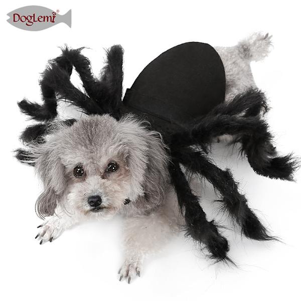 Lemmikki Halloween-koiran puku Hämähäkkipaita
