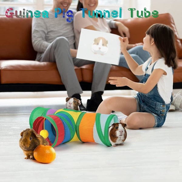 Marsvin Tunnel 3 Veis Marsvin Gjemmested Liten Leke Dyr Aktiv