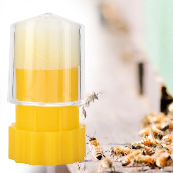 Queen Bee Marker Catcher Bur