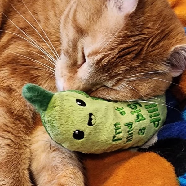 Crunchy Pickle Kicker Dental Catnip Cat Toy 15CM grön