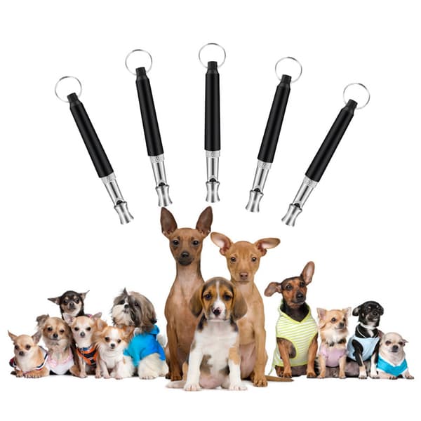 Hundepibe til at stoppe naboens hunds gøen