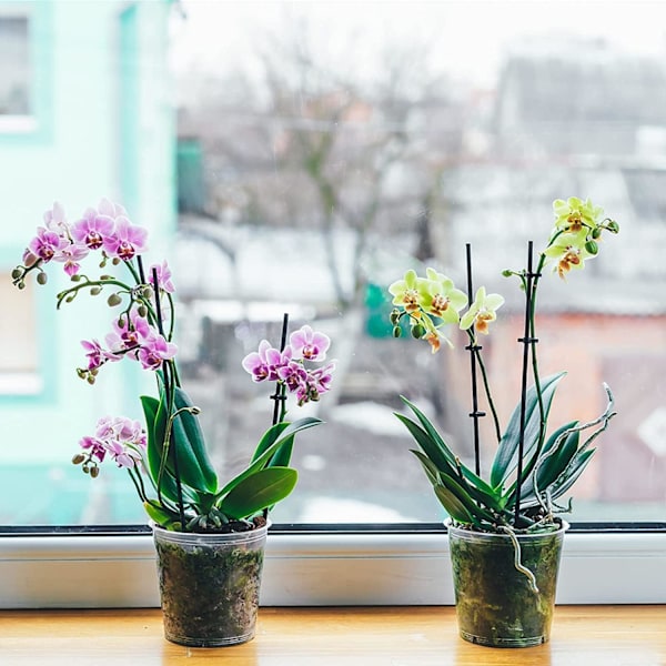 10 stk. Gennemsigtige Blomsterpotter Plastik Blomsterpotte Små Plastik Orkidepotter Potte til Orkide, Have, Balkon, osv.