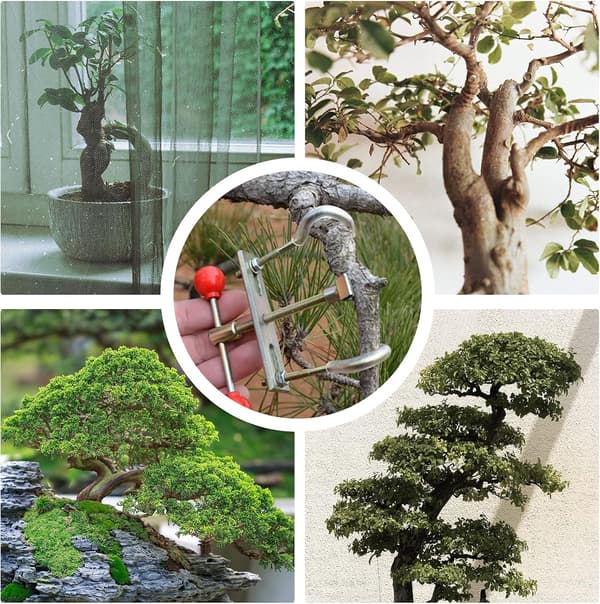 Grenböjningsverktyg Växtgrenböjare Bonsai Grenmodulator G