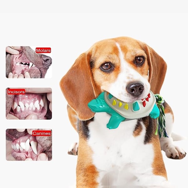 Hunde tyggelegetøj, holdbart tænder og beroligende fleksibelt tyggelegetøj, molarpinde og hundetandbørster til små mellemstore og store hunde