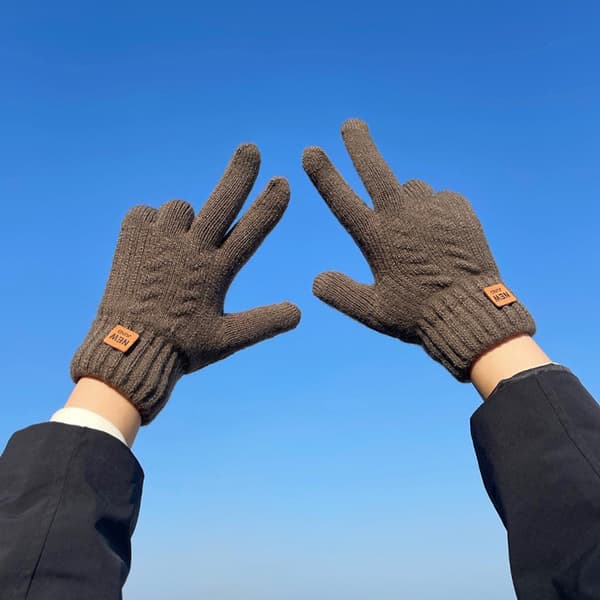 Dame Vinter Touch Screen Handsker Kabel Strik Termisk Foret Finger Varmer Handsker Grå