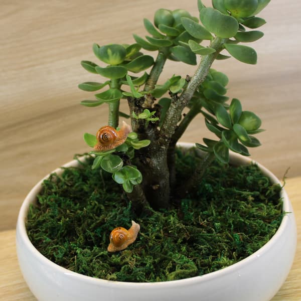 10 stk. Tiny Snails 5 stk. Miniature Resin Snail Figurines, Miniature