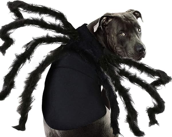 Hundkostym för Halloween Spindeltröja