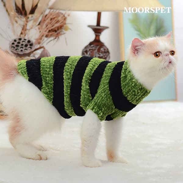 Pet Clothing Høst og Vinter Sphinx Devon Katteklær Tykk Hold Varme Kjæledyr Tilbehør s gressgrønn