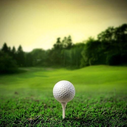 Paket med 100 Professionella Trägolftees - 54 MM